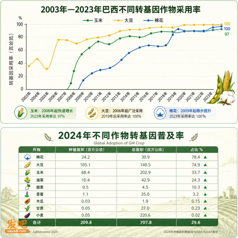 曾经吵翻天的转基因 这几年为什么突然加速了?