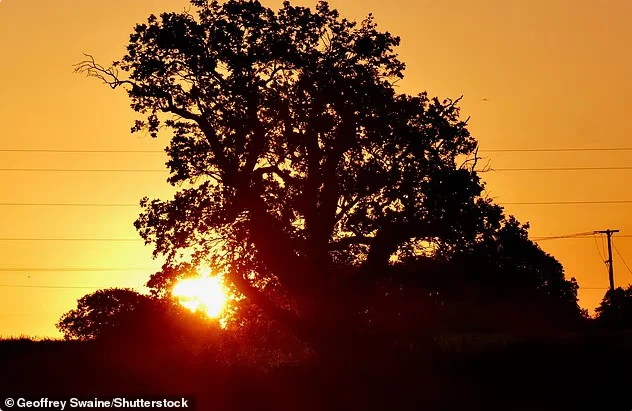 38℃极端高温来袭：英国迎史上最热一天 铁路限行