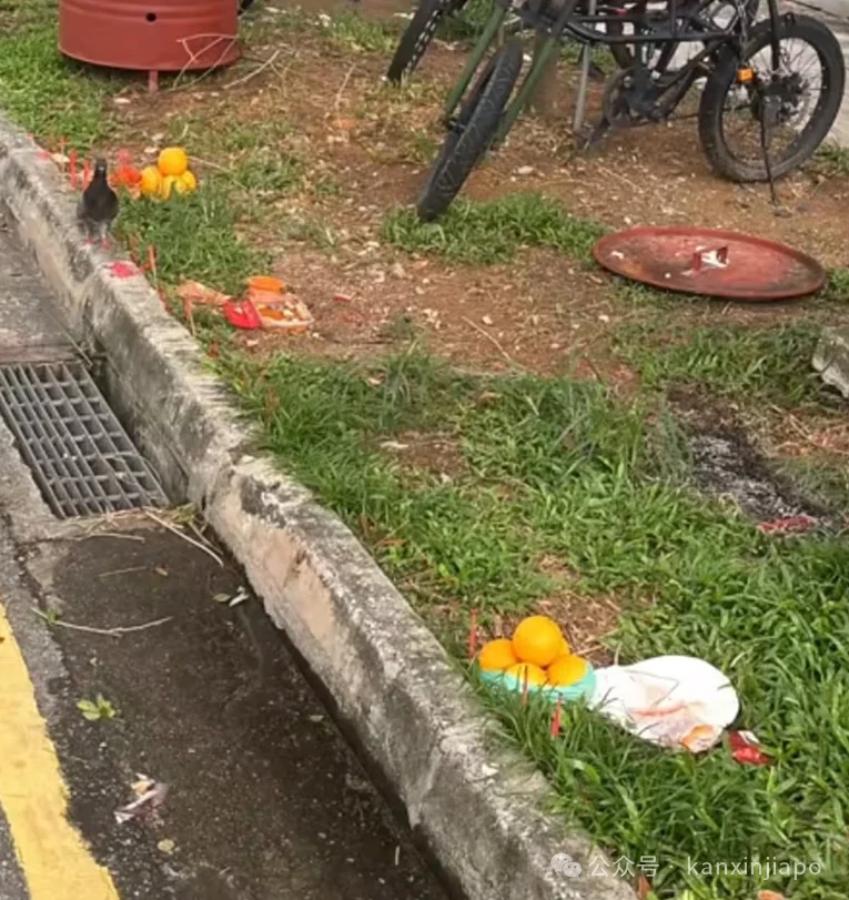 中国女司机顺手捡了路边的供果 结果闯大祸了