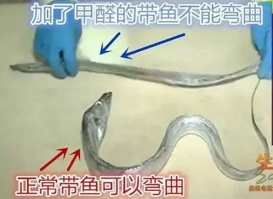 中国“甲醛白菜”闹大了 网友点名这8类食物也常泡甲醛