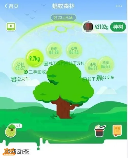 都2026了 究竟是谁玩了十年蚂蚁森林?