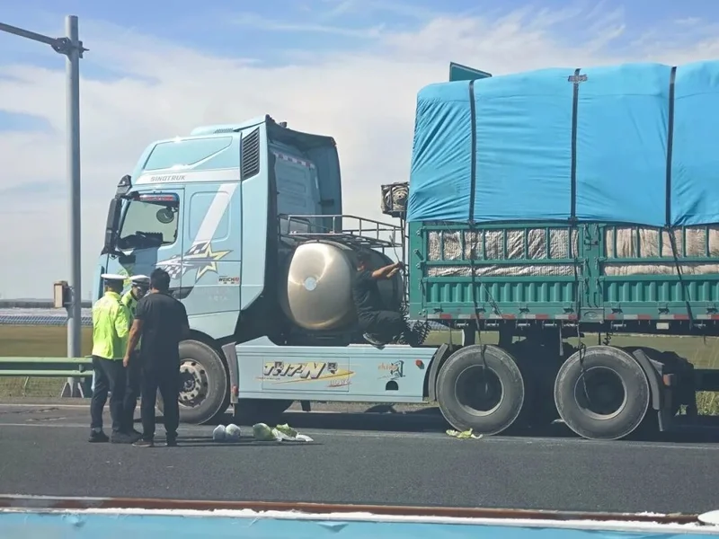 甲醛白菜案之外 白菜产业还有一道长期欠账