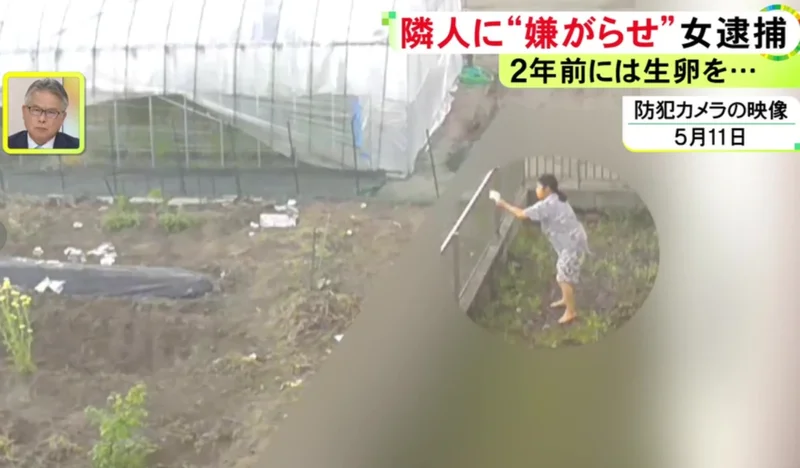 日本一六旬大妈安装监控后,拍下邻居骇人一幕!网友炸了