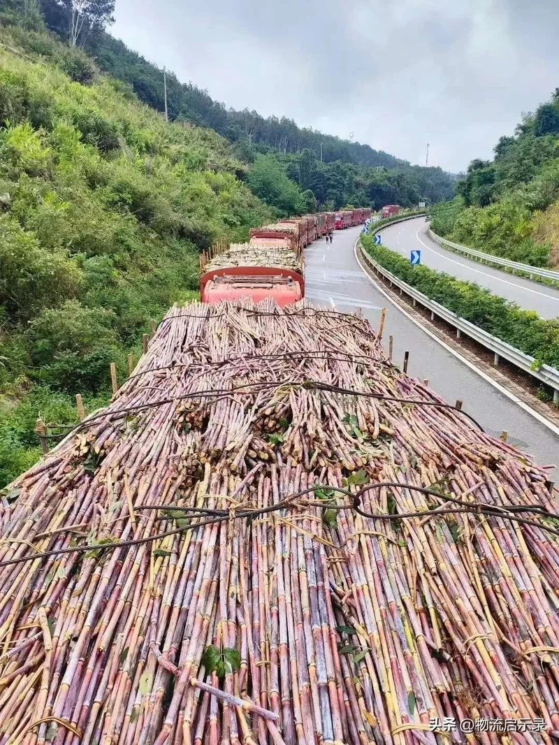 狂揽55亿美元!一条中国铁路带飞老挝农业 这算盘打得真精