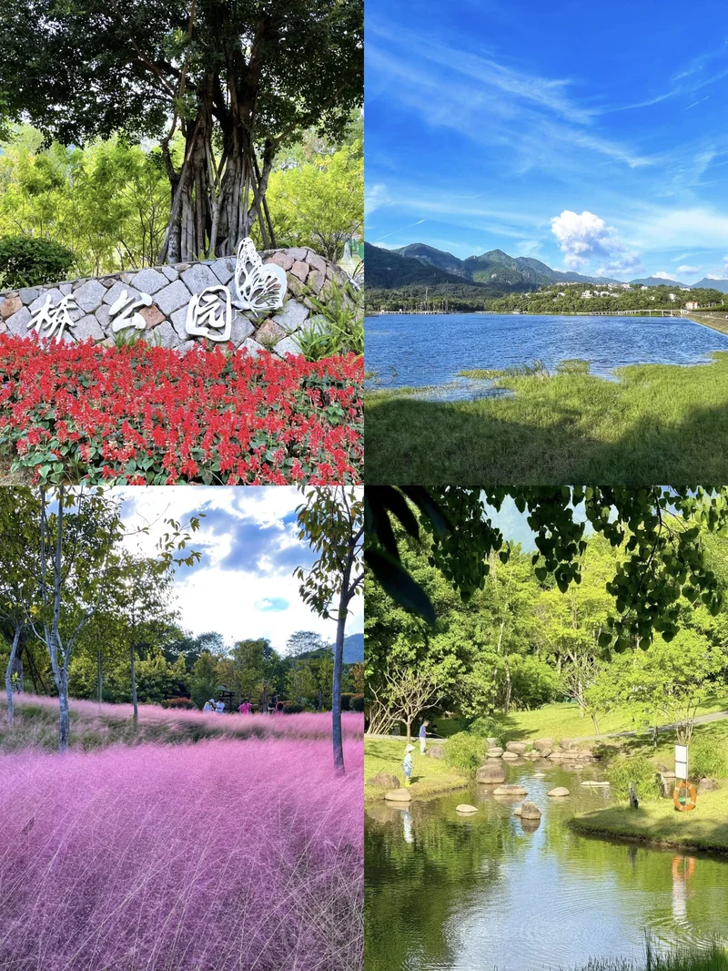 赤桥公园⛩️🌈💦🌳🍁🌿