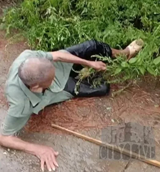 雨中扶起88岁老人后续:家属发红包被拒 家中设宴致谢