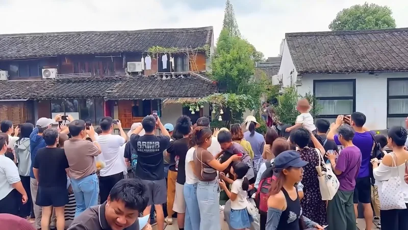 葫芦娃事件最荒诞的一幕 出现了