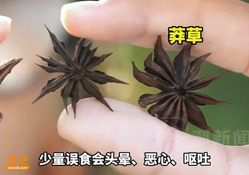 浙江女子称超市买的八角数出13个角 一查竟是剧毒莽草
