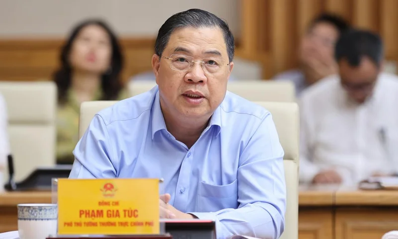 越南出口中国榴莲造假 副总理亲自上门 恳请中方再给一个机会