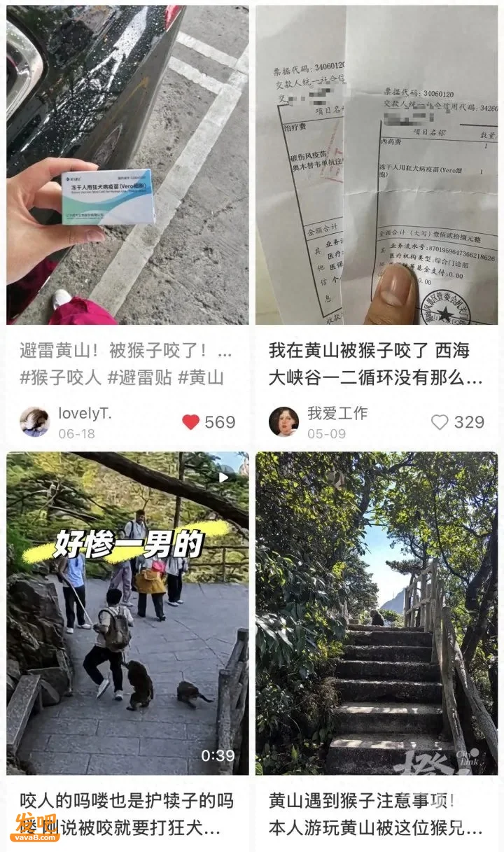 姑娘爬黄山遭猴群围攻 打八针疫苗 景区回应:不要投喂