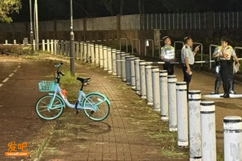 从11000只到400只 香港为什么还是出了人命