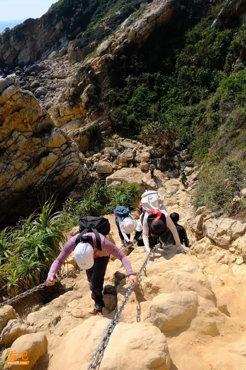 致命徒步:跟风进山的年轻人 低估了大自然的残酷
