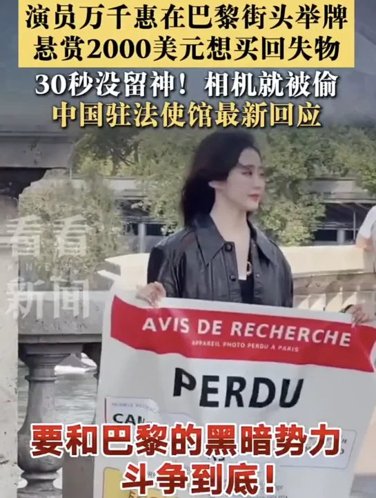 中国女星在海外遭遇盗窃 街头举牌求助