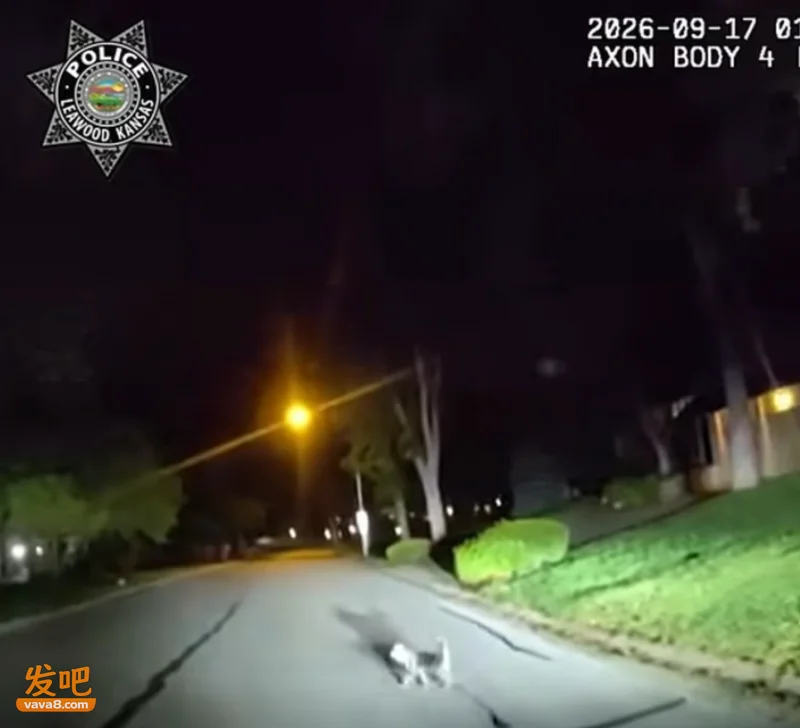 巡警遇见一只狗狗 跟着它走了一路 才发现它在为主人求救