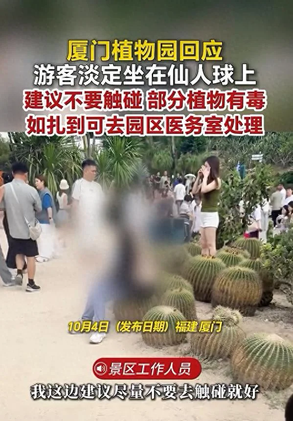 厦门植物园内游客淡定坐在仙人球上 工作人员称尊重其个人行为 但 部分植物有毒