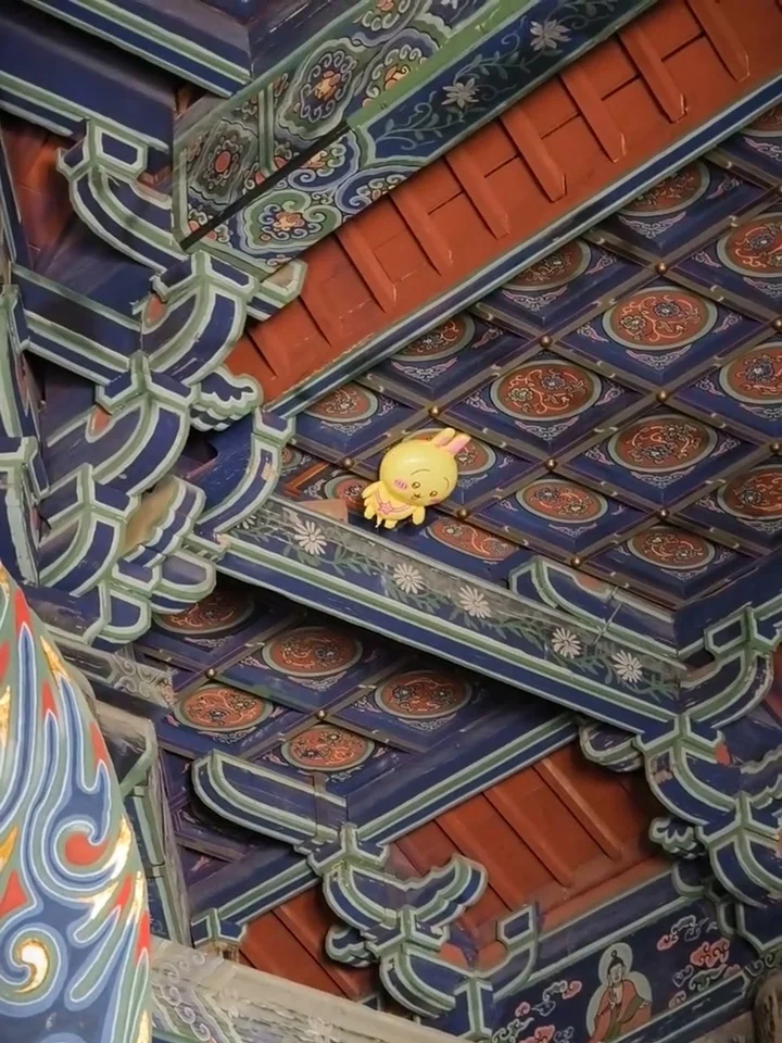 游客参观华严寺总感觉“被盯上” 抬头竟发现一只“乌萨奇”