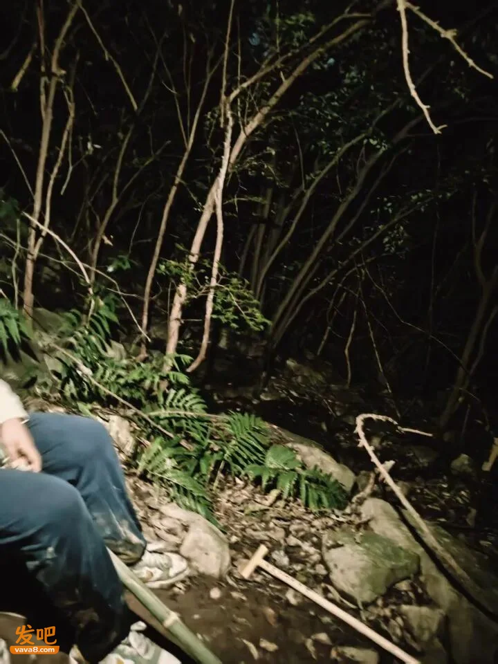 离主路仅100米!上海一家三口深山迷路 同一地点刚有人坠崖身亡