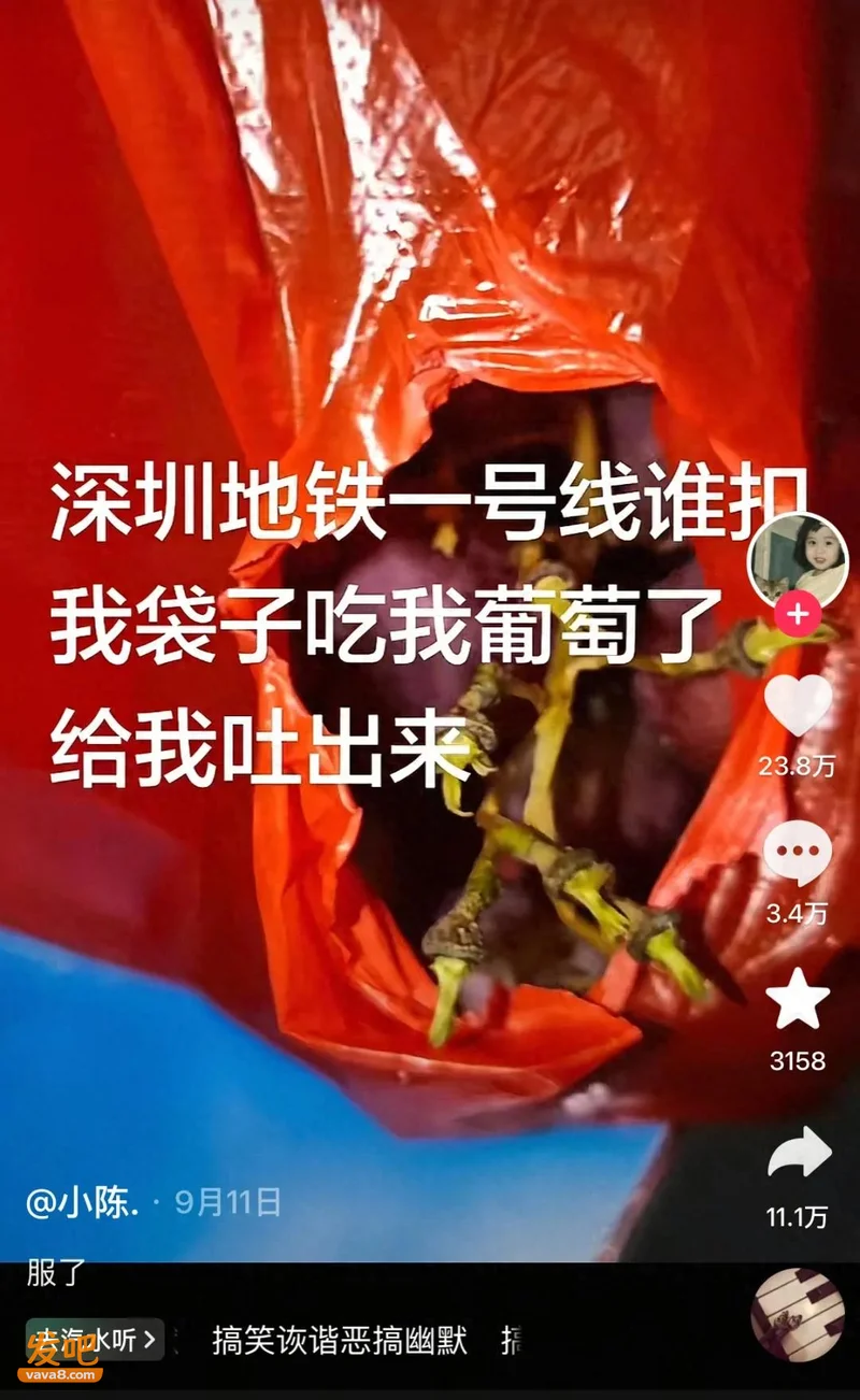 “谁吃我葡萄了?” 深圳地铁一则控诉引爆网友集体狂欢:不是我