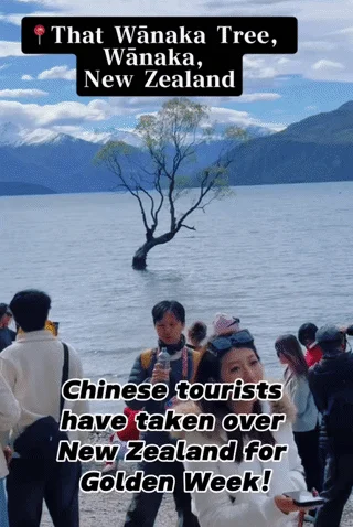 中国游客挤爆新西兰“小众景点” 华人地接哭穷“挣不到钱”：“经常都是白忙活”！
