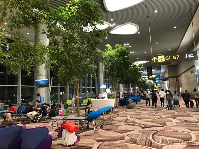 游客吐槽樟宜机场地毯拖行李太费劲 网友反驳