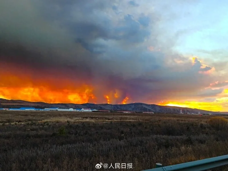 蒙古大火系日籍高管违规垂钓引发 公司CEO公开道歉，蒙古当局：追责到底