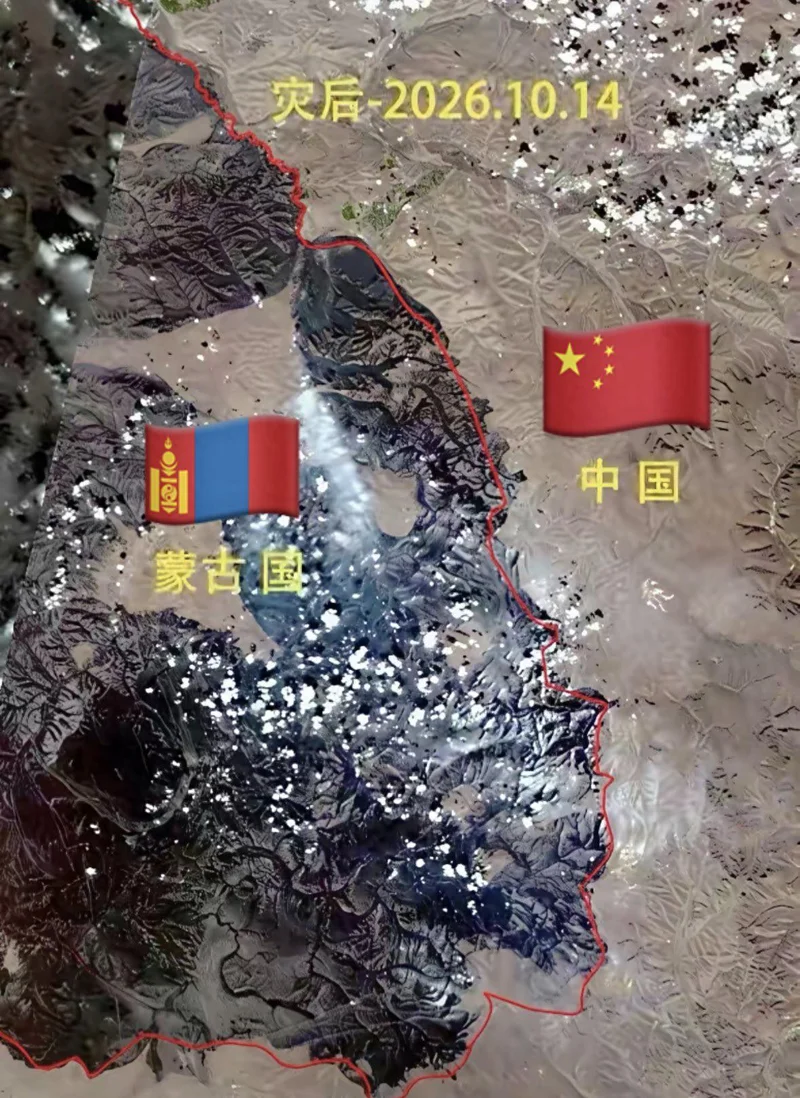 没办手续禁止跨国!蒙古大火被卡死在中蒙边界