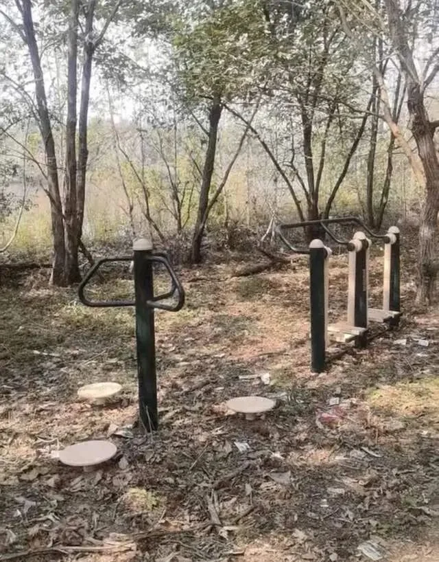 河南官方通报“在荒郊野地安装健身器材”