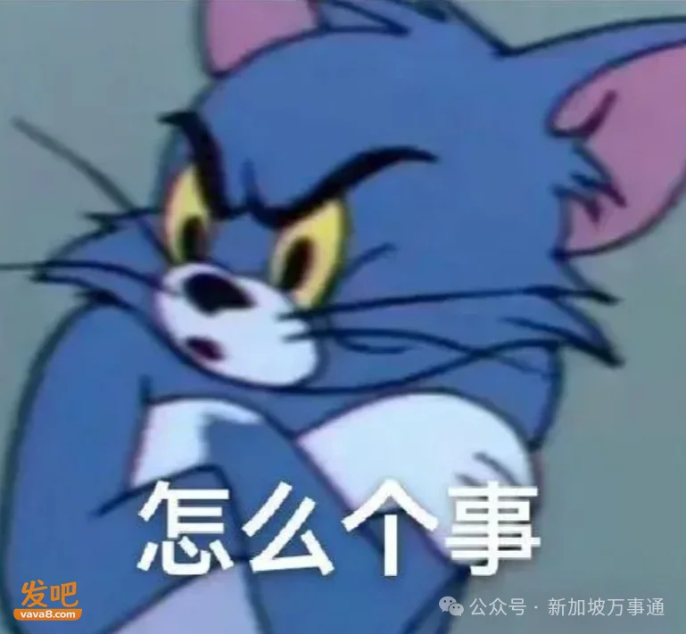 新加坡相当于中国二线城市 大批新移民亲历：“别听媒体瞎吹”