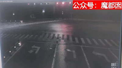 陆媒: 我们连讨论一起车祸起火的资格都没有了？