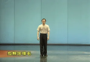 【家庭趣味科学】-5 狗熊哆嗦毛，魔幻又奇妙