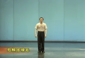 【今日笑话】狗熊哆嗦毛+科目三