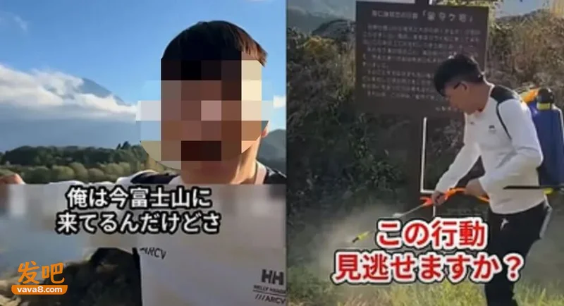 “药死你这些杂草” 中国网红在富士山脚狂喷不明液体