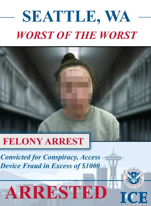 ICE拘留一名华女！涉诈骗$120万被判50个月，面临遣返