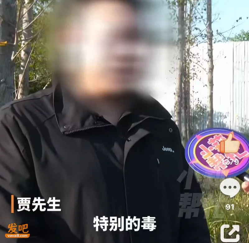 妻子要15万元备孕，丈夫骂她“去死”！全网劝离，真的不吐不快…