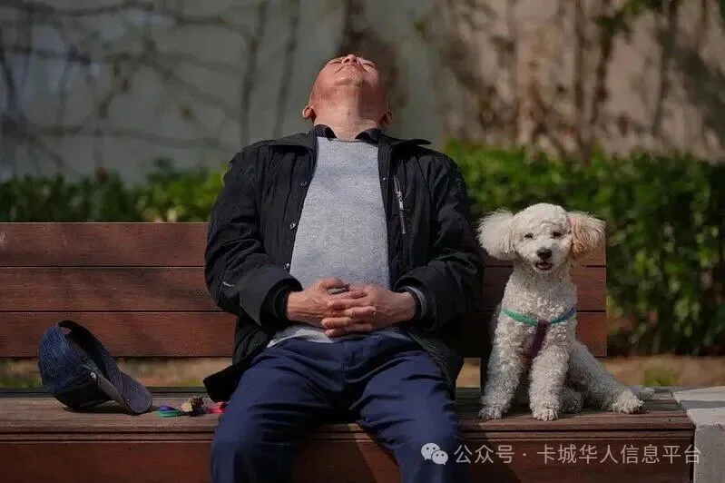 长者注意 美研究“日常1习惯”恐是失智前兆