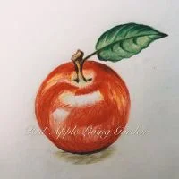 红苹果生活花园