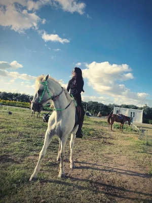 ☆★声望品衔R7★☆