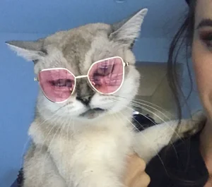 ☆★声望品衔R7★☆