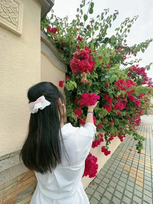 知秋