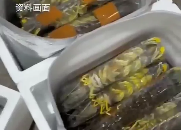 太突然!43岁“4只皮皮虾1035元事件”店主事发次日病逝!