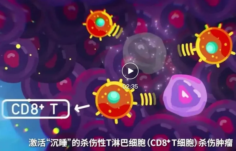 中国科学家合成了一种细菌 能够精准消灭肿瘤