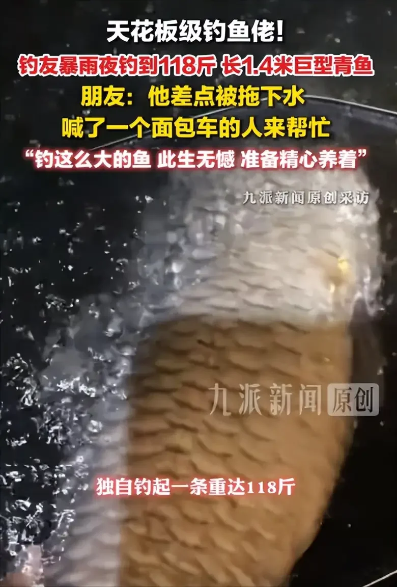 钓鱼佬暴雨夜钓到118斤巨型青鱼!喊来一面包车的人帮忙