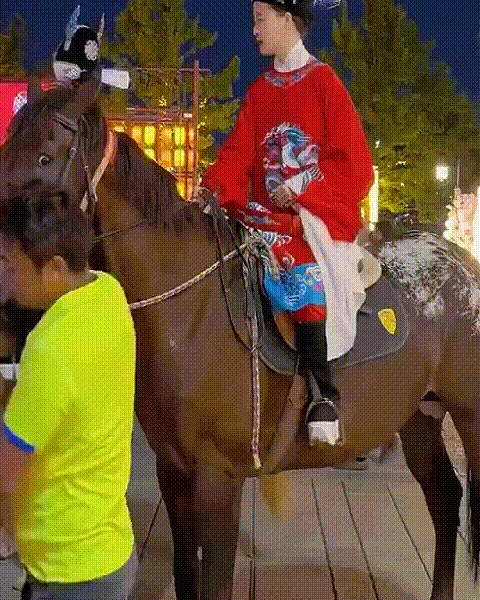 骑马的艺术