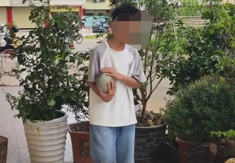 广东12岁小孩哥在户外玩耍 意外发现花坛有2枚恐龙蛋化石