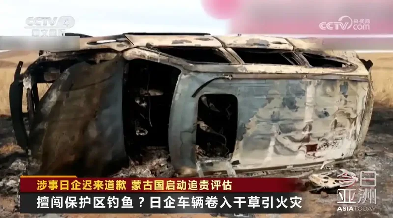 草原大火损失惨重 蒙方怒了：向日企索赔